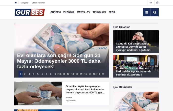 Site Screenshot for Gürses Gazetesi